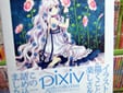 pixiv girls collection